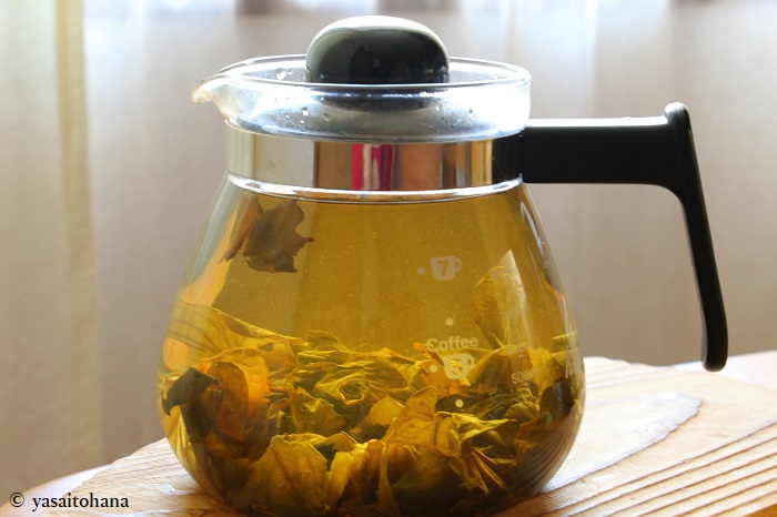 自家製ドクダミ茶生活 手作りどくだみ茶が美味 効能も紹介 国際結婚夫婦 椿とtaroのナチュラル生活