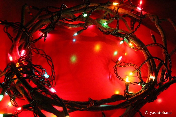 木のつるのクリスマスリース 手作りリース飾りました 国際結婚夫婦 椿とtaroのナチュラル生活