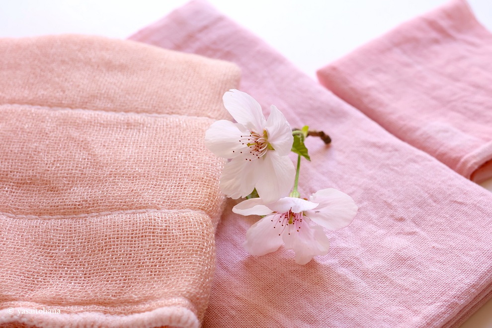 【桜染め】布をピンク色に染める｜ミョウバンなし