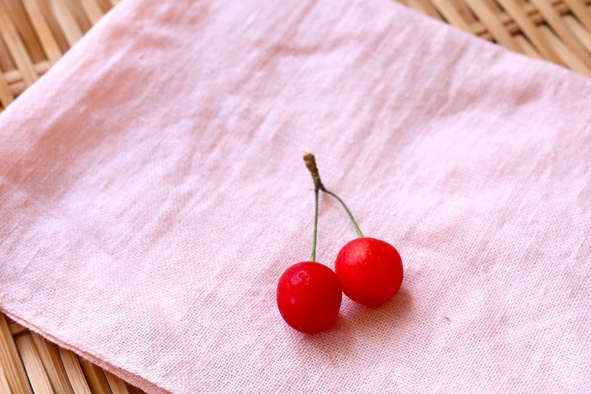 【さくらんぼの枝で草木染め】ピンク色に染められるか？