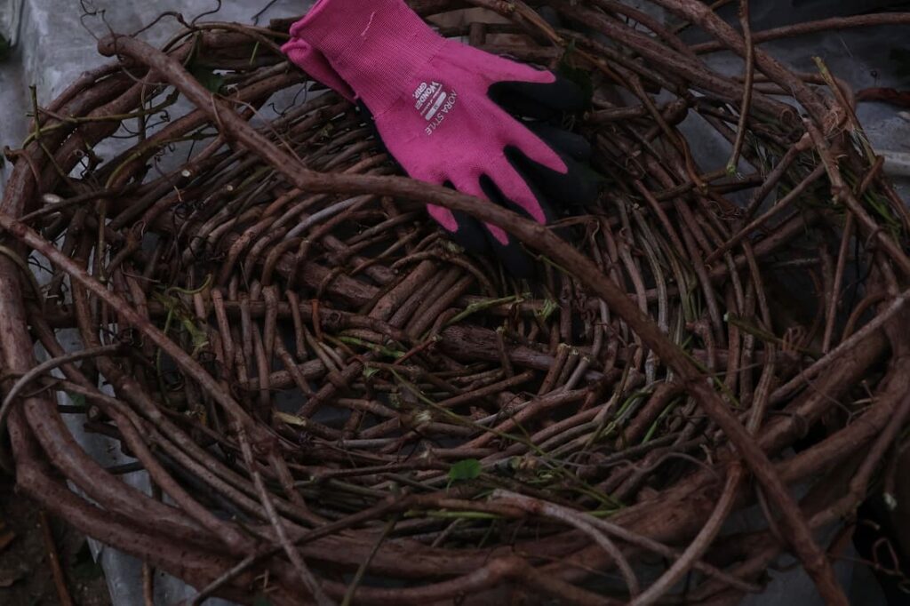 秋に青い実をつけるノブドウの蔓でカゴを編んでみた