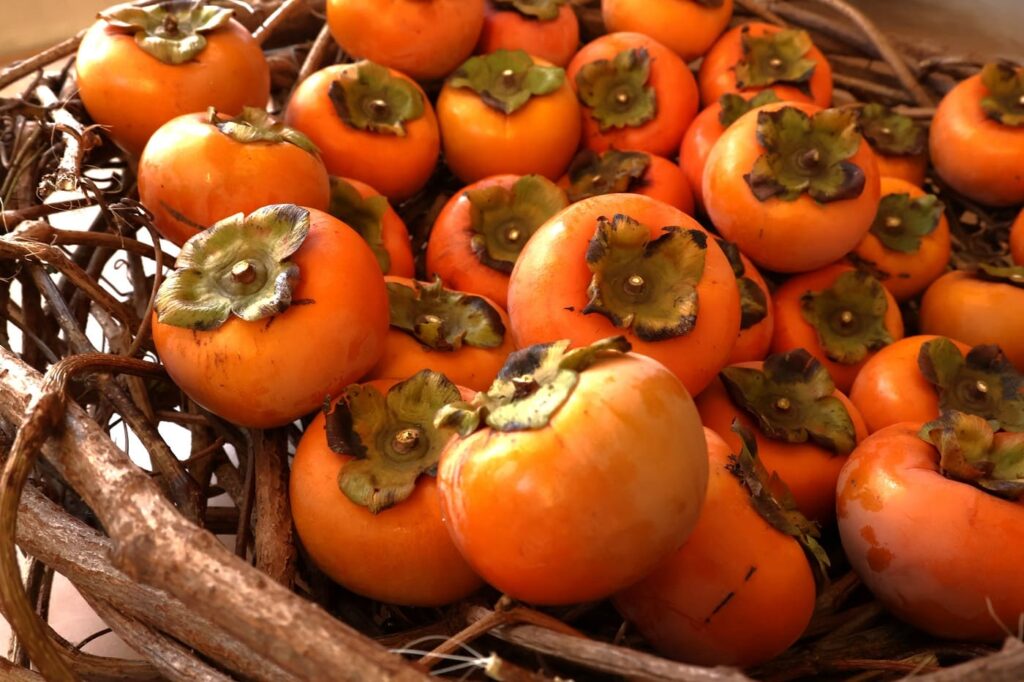 秋に青い実をつけるノブドウの蔓でカゴを編んでみた