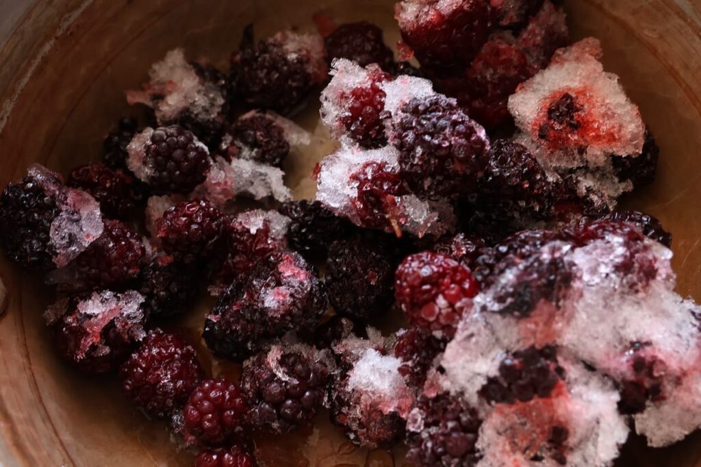 草木染め用の冷凍ブラックベリー