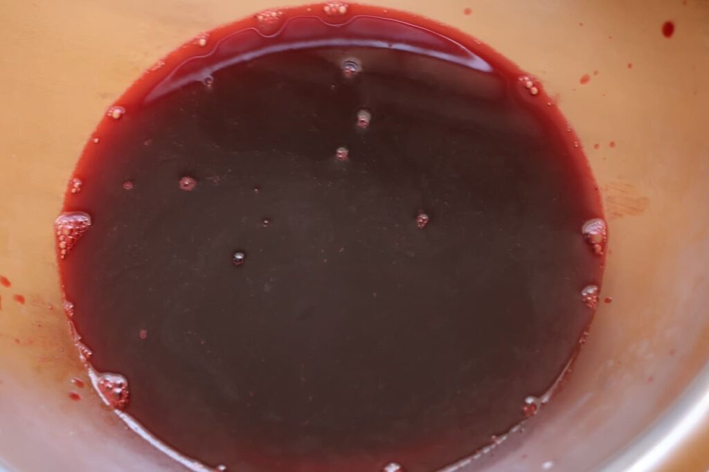 ブラックベリー染液