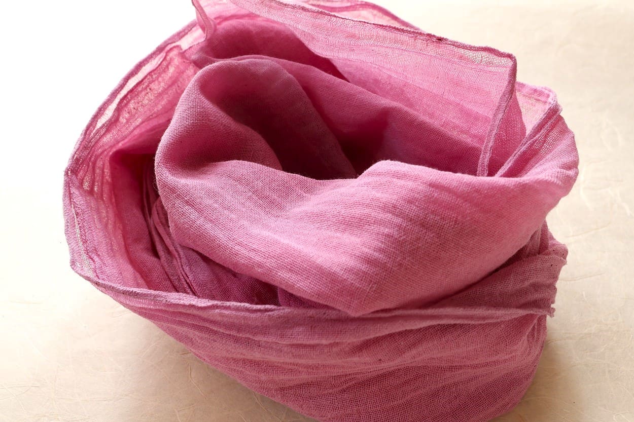 ブラックベリーで草木染め