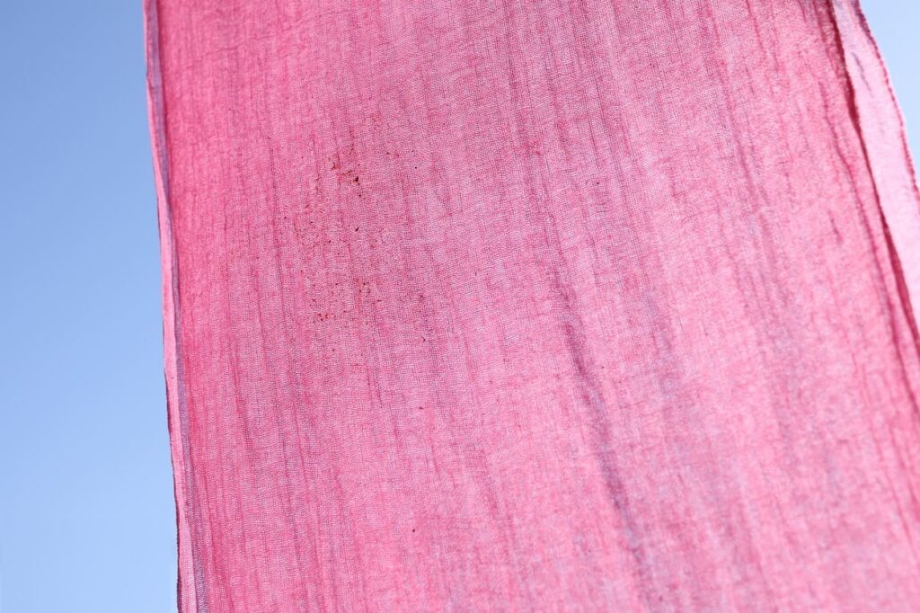 ブラックベリー染めの布を乾かす