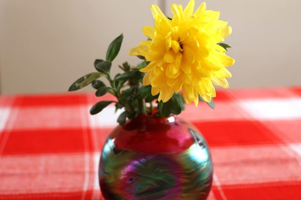 ポットマムの花を飾る