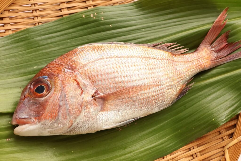 鯛