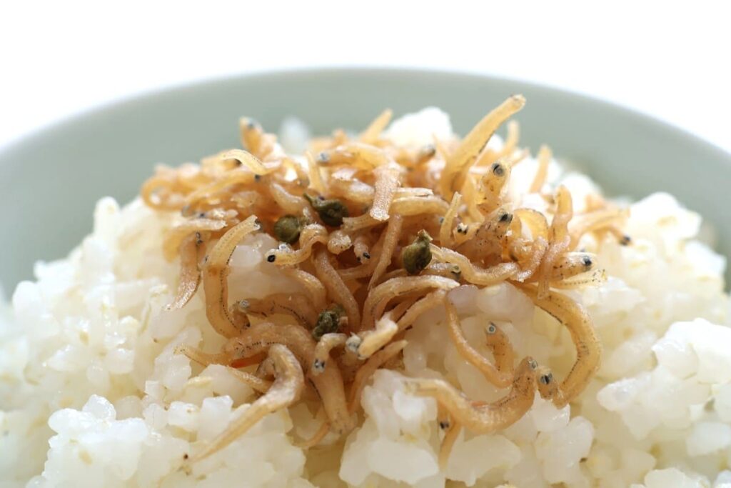 ちりめん山椒とごはん